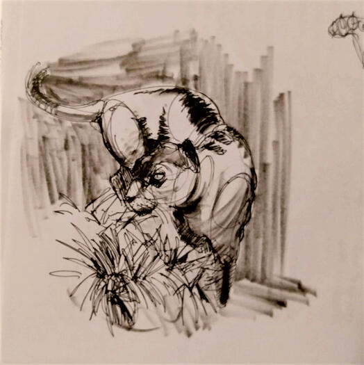 Illustraiton of panther, multimedia